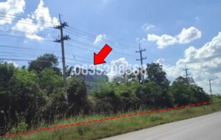 ขายที่ดิน ถนนมะลิวัลย์ (ทล.12)