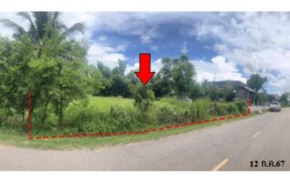 ทรัพย์สถาบันโดย บริษัท บริหารสินทรัพย์สุขุมวิท จำกัด ที่ดิน ถนนสายบ้านป่าคา-บ้านนาทม
