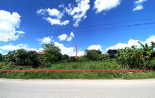ทรัพย์ธนาคารโดย KASIKORNBANK ที่ดิน ถนนสายบ้านนาดี - บ้านทุ่งโพธิ์ทอง (นภ.4009)