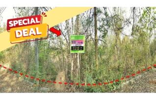 ทรัพย์สถาบันโดย บริษัท บริหารสินทรัพย์สุขุมวิท จำกัด ที่ดิน ล้านนาคันทรีปาร์ค