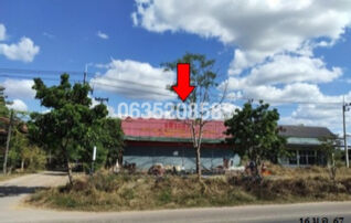 ขายโกดัง/โรงงาน ถนนสายหนองคาย-นครพนม (ทล.212)