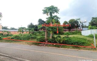 ทรัพย์สถาบันโดย KASIKORNBANK ที่ดิน ซอยพรุชี ถนนสายบางรัก - ควนขัน (ทล.4045)
