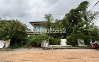 ขายบ้านเดี่ยว ฉัตรเพชร (Chatpet Maliwan)