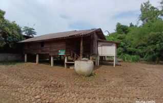 ทรัพย์ธนาคารโดย KASIKORNBANK บ้านเดี่ยว ถนนบ้านวังนิมิตร