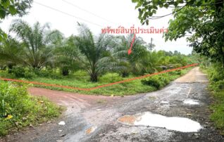 ทรัพย์ธนาคารโดย KASIKORNBANK ที่ดิน ถนนสายบ้านนายสาคร - เพียรดี - สะพานคลองท่าหลวง