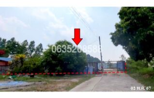 ขายบ้านเดี่ยว ถนนพานทอง-หนองแช่แว่น