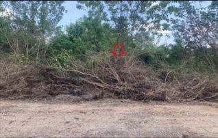 ทรัพย์สถาบันโดย GHB ที่ดิน แก่งหลวงคันทรีมารีน่า