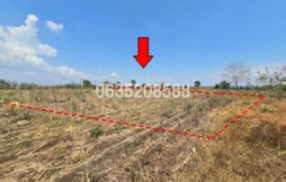 ขายที่ดิน ถนนถนนสุรนารายณ์ (ทล.205)
