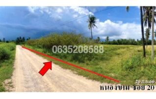ขายที่ดิน ซอยหนองขาม ซอย 20 ถนนเพชรเกษม บ้านหนองขาม
