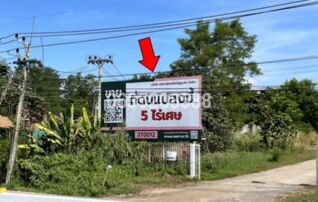 ขายที่ดิน ถนนเชียงใหม่-ฝาง (ทล.107)