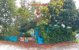 ทรัพย์สถาบันโดย ธอส. บ้านเดี่ยว บ้านสวนแสนสุข คลอง 29