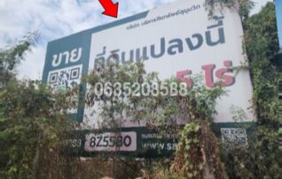 ขายที่ดิน ถนนทรงพล