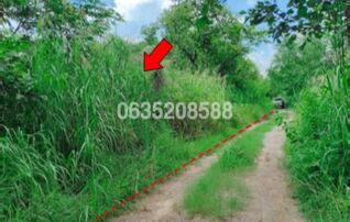 ขายที่ดิน เพชรบูรณ์ฮิลล์ แอนด์ การ์เด้น