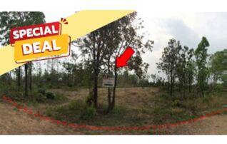 ทรัพย์สถาบันโดย บริษัท บริหารสินทรัพย์สุขุมวิท จำกัด ที่ดิน ถนนสายบ้านโป่งคองเหนือ-บ้านเขว้า (ชย.3007)