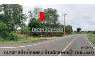 ขายที่ดิน ถนนบ้านโคกตอง-บ้านผักกาดหญ้า (นม.4043)