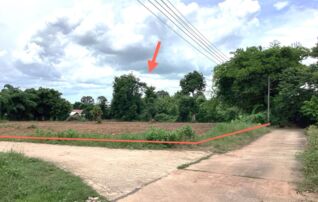 ทรัพย์ธนาคารโดย KASIKORNBANK ที่ดิน ถนนสายแยก ทล.210-บ้านกุดลิงง้อ