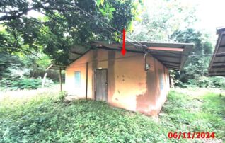 ทรัพย์ธนาคารโดย KASIKORNBANK บ้านเดี่ยว ถนนสายบ้านผาลาด - บ้านหางฮูง (ทล.1348)