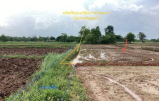 ทรัพย์ธนาคารโดย KASIKORNBANK ที่ดิน ถนนสายบ้านบุญเรือง - บ้านเฮี้ย (พย.4017)