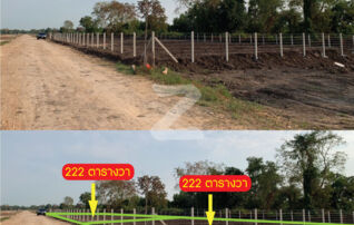 ขายที่ดิน อ.องครักษ์ ถนนคลองหนึ่งทรายมูล ทำบ้านสวนวัยเกษียณไว้พักผ่อน 222 ตารางวา แปลงละ 1,200,000 บาท : เจ้าของขายเอง