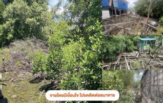 ทรัพย์สถาบันโดย GHB ที่ดิน ซอยหลวงพ่อปานสาย1ฝั่งใต้ ถนนสุขุมวิท(ทล.3)(สายเก่า)