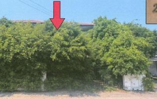 ทรัพย์สถาบันโดย GHB บ้านเดี่ยว พฤกษานารา 80 (ชัยพฤกษ์2-จอมเทียน) (Baan Pruksa Nara Chaiyaphruek 2 Jomtien)