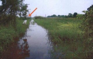 ทรัพย์สถาบันโดย GHB ที่ดิน องครักษ์การ์เด้นวิว