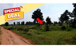 ทรัพย์สถาบันโดย บริษัท บริหารสินทรัพย์สุขุมวิท จำกัด ที่ดิน ถนนสายบ้านโนนสาทร-หนองปลาเฒ่า (ชย.2004)