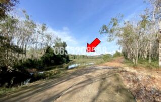 ขายที่ดิน ถนนนราธิวาส-ต้นหยงมัส (ทล.4055)