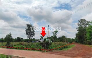 ขายที่ดิน ซอยภูมิดลพัฒนา ถนนโคกสว่าง 2