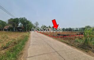ขายบ้านเดี่ยว ถนนสายชุมแพ-ภูผาม่าน (ทล.2361)