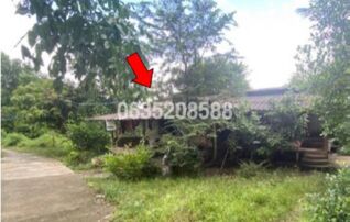 ขายบ้านเดี่ยว ถนนปัตตานี-โคกโพธิ์ (ทล.42)