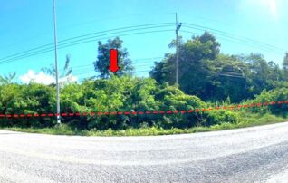 ทรัพย์ธนาคารโดย KASIKORNBANK ที่ดิน ถนนหนองบัวลำภู - โนนสัง (ทล.2146)
