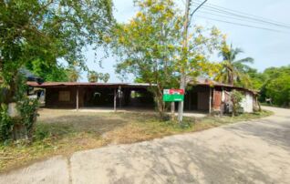ทรัพย์ธนาคารโดย KASIKORNBANK บ้านเดี่ยว ถนนเลียบคลองชลประทานสายมะขามเฒ่า-อู่ทอง