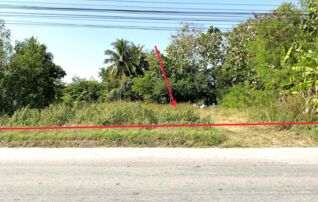 ทรัพย์ธนาคารโดย KASIKORNBANK ที่ดิน ถนนสายเทิง-เชียงของ (ทล.1020)