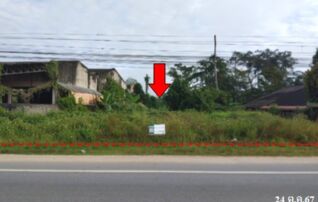ทรัพย์สถาบันโดย บริษัท บริหารสินทรัพย์สุขุมวิท จำกัด ที่ดิน ถนนสายบ้านส้อง-พระแสง (ทล.4009)