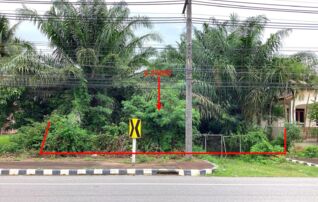 ทรัพย์สถาบันโดย KASIKORNBANK ที่ดิน ถนนฝ่ายท่า-หนองหัดไทย