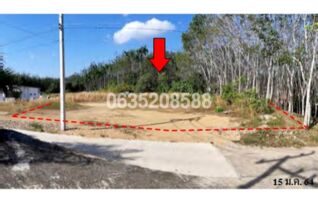 ขายที่ดิน ซอยควนสามถ้วย 2 ถนนสายพังงา-ตากแดด (พง.1001)