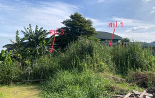 ทรัพย์ธนาคารโดย KASIKORNBANK บ้านเดี่ยว ซอยเพชรเกษม 91 ซอย 7 ถนนเพชรเกษม (ทล.4)