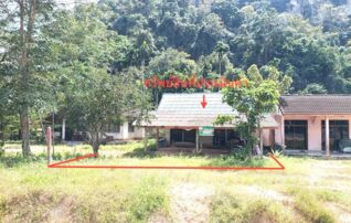 ทรัพย์ธนาคารโดย KASIKORNBANK บ้านเดี่ยว ถนนสายถ้ำพรรณรา - ทานพอ (ทล.4228)