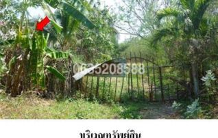 ขายที่ดิน บุญส่งพัฒนา (Bunsong Phatthana)