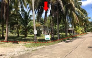 ขายที่ดิน - ซอย อ่าวขนอมซอย 4