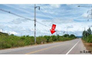 ขายที่ดิน ถนนสายบ้านตลาดควาย-หนองนกกระเรียน (รบ.4026)