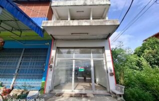 ทรัพย์ธนาคารโดย KASIKORNBANK บ้านเดี่ยว ถนนเพชรเกษม(ทล.4)