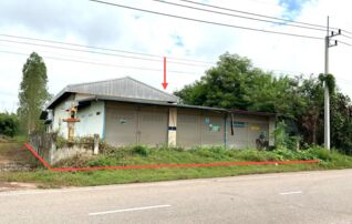 ทรัพย์ธนาคารโดย KASIKORNBANK บ้านเดี่ยว ถนนสายแยก ทล.2-อำเภอเพ็ญ (ทล.2022)