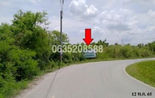ขายที่ดิน ถนนสายบ้านต้นกร่าง-บ้านท่าแฉลบ