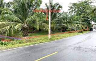 ทรัพย์ธนาคารโดย KASIKORNBANK ที่ดิน ถนนถนนคลองจันดี 8
