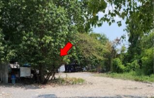 ทรัพย์สถาบันโดย บริษัท บริหารสินทรัพย์สุขุมวิท จำกัด ที่ดิน เมืองประชา