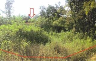 ทรัพย์ธนาคารโดย GHB บ้านเดี่ยว  เมืองเพชรบูรณ์ เพชรบูรณ์