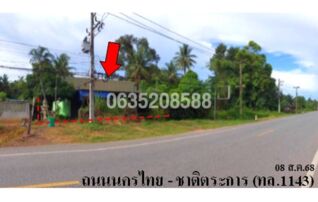 ขายบ้านเดี่ยว ถนนสายนครไทย-ชาติตระการ (ทล.1143)