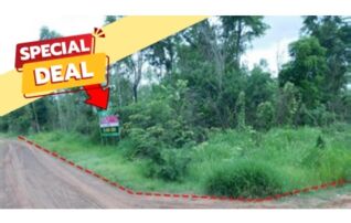 ทรัพย์สถาบันโดย บริษัท บริหารสินทรัพย์สุขุมวิท จำกัด ที่ดิน ถนนสายบ้านยางบ่า-โคกสูง (ชย.4077)